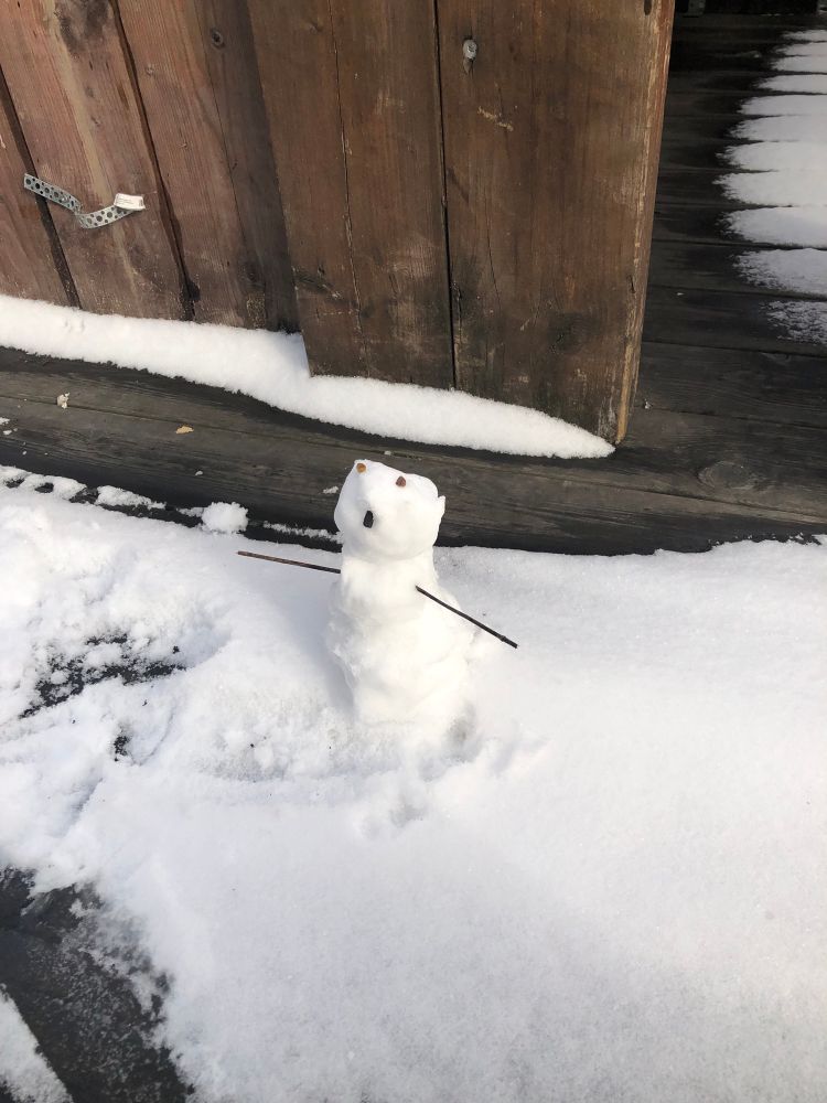 The snowperson has eyes on top of its head, a small round mouth, and little twigs for arms. 