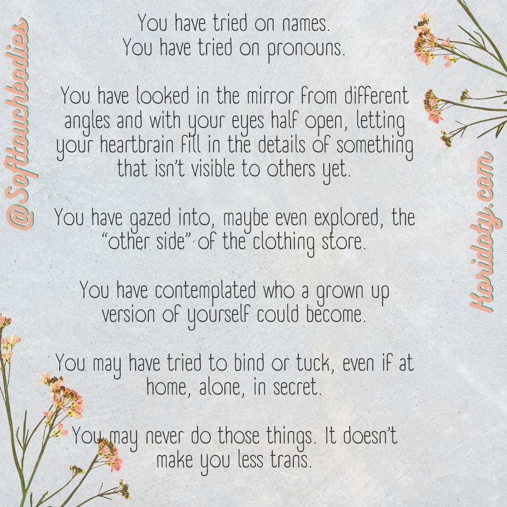 You have tried on names
You have tried on pronouns 

You have looked in the mirror from different angles and with your eyes half open, letting your heartbrain fill in the details of something that isn't visible to others yet

You have gazed into, maybe even explored the "other side" of the clothing store
You have contemplated who a grown up version of you could become
You may have tried to bind or tuck, even if at home, alone, in secret 
You may never do those things. It doesn't make you less trans

Softtouchbodies 
Koridoty.com