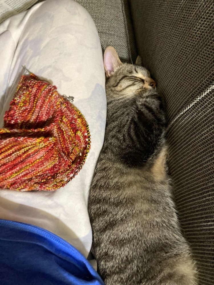 A top down view of outstretched legs with a knitting project in the lap.  A grey and brown tabby cat is stretched out beside me squished between my legs and the back of the couch