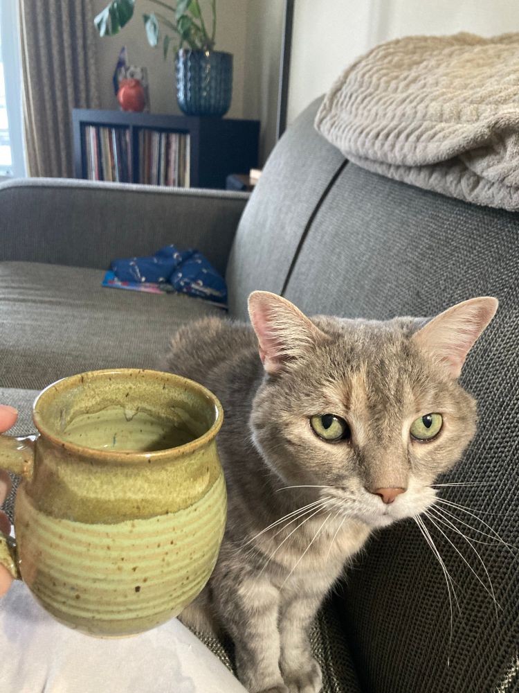 An artisan pottery mug is held by a white hand.  The mug is two tones of sage green with thin stripes.  It is held next to the face of a grey and peach tabby cat.  The cat’s eyes are the same two toned green as the mug.  A grey couch with a beige blanket is in the background as well as a plant and a shelf of records. 