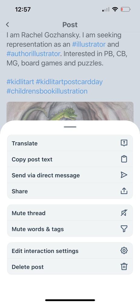 Screenshot of a post and the post menu in the bluesky mobile iPhone app