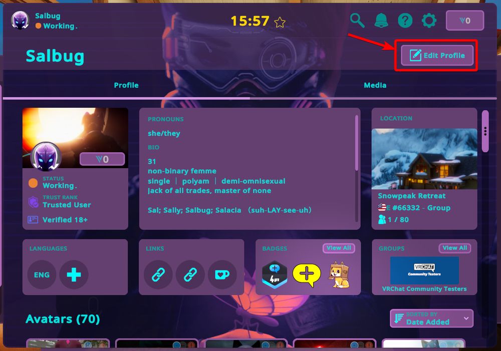 A screenshot of a VRChat profile page with a prominent purple-and-pink interface. The username “Salbug” is visible in the top-left, accompanied by a “Working…” status. The screen displays the user's avatar and various profile details (such as pronouns and bio) in colored panels. A bright red arrow points to an “Edit Profile” button in the top-right corner, drawing attention to the feature for editing profile information.