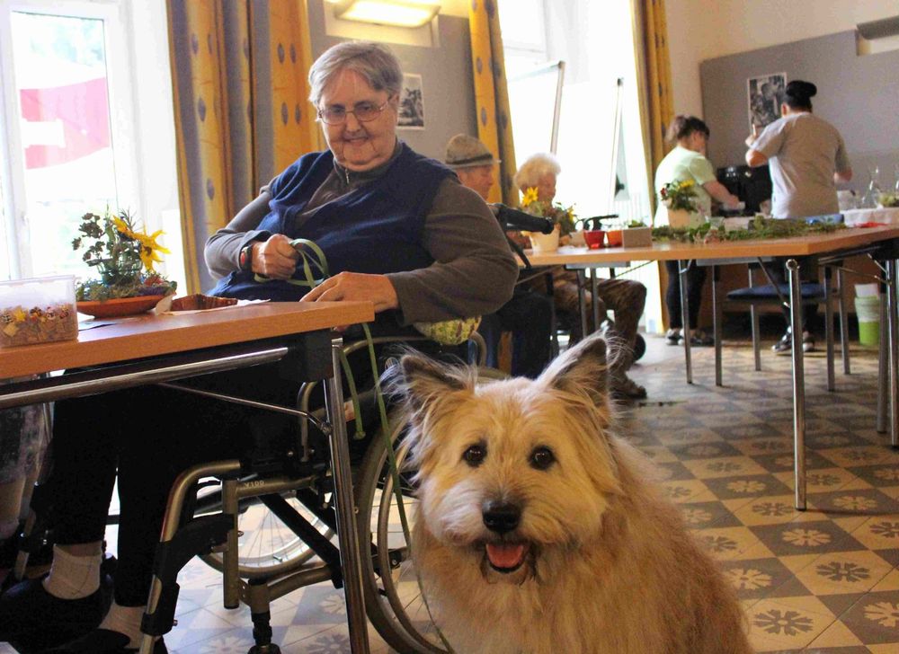 eine Frau im Rollstuhl mit einem Hund