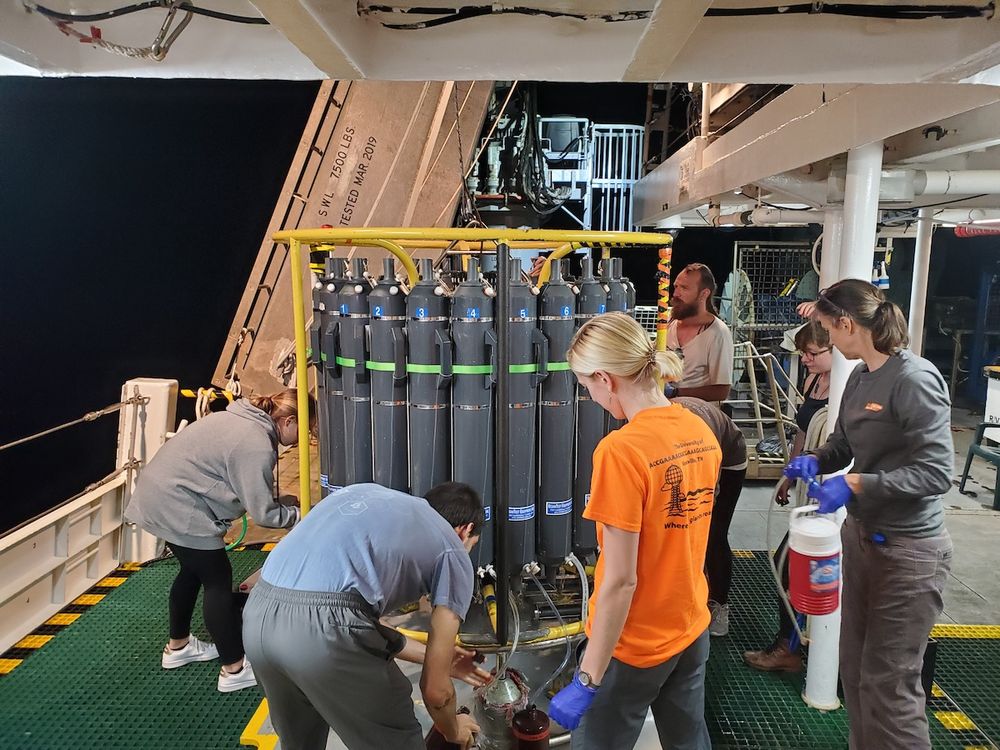 Preparing CTD-rosettes