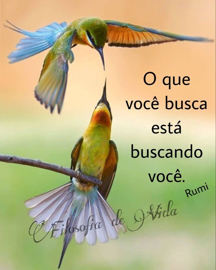 O que você busca está buscando você.
Rumi 
Filosofia de Vida