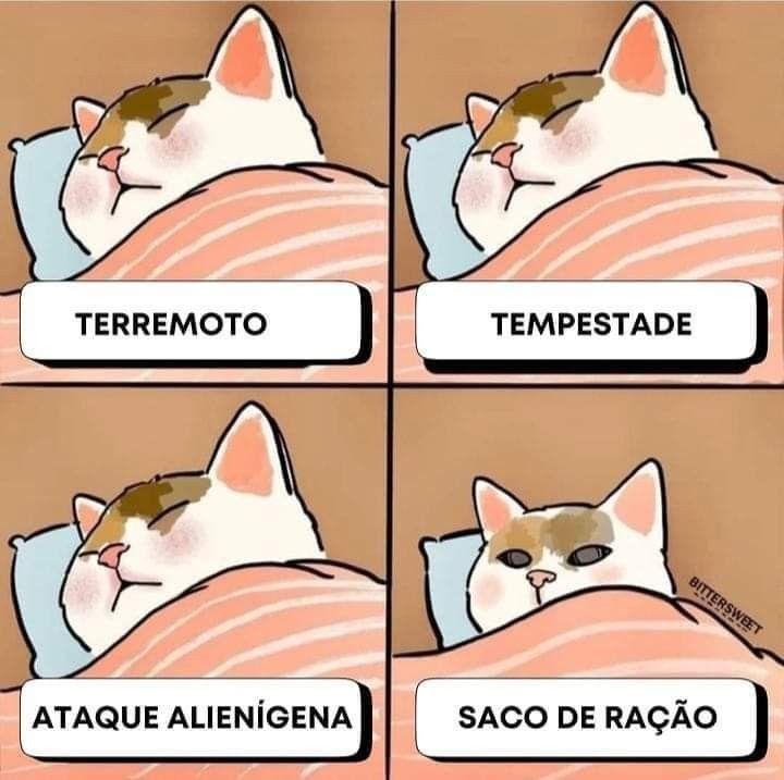Tirinha de um gato, na primeira imagem está escrito Terremoto ( e o gato dormindo),na segunda está escrito Tempestade ( o gato continua dormindo), na terceira Ataque Alienígena ( o gato ainda dorme) , na quarta e última Saco de Ração ( o gato acorda). Bittersweet.