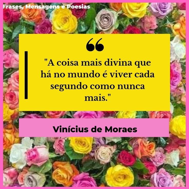 " A coisa mais divina que há no mundo é viver cada segundo como nunca mais." 
Vinícius de Moraes