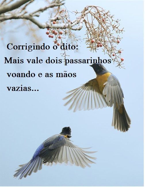 Corrigindo o dito: 
Mais vale dois passarinhos voando e as mãos vazias...