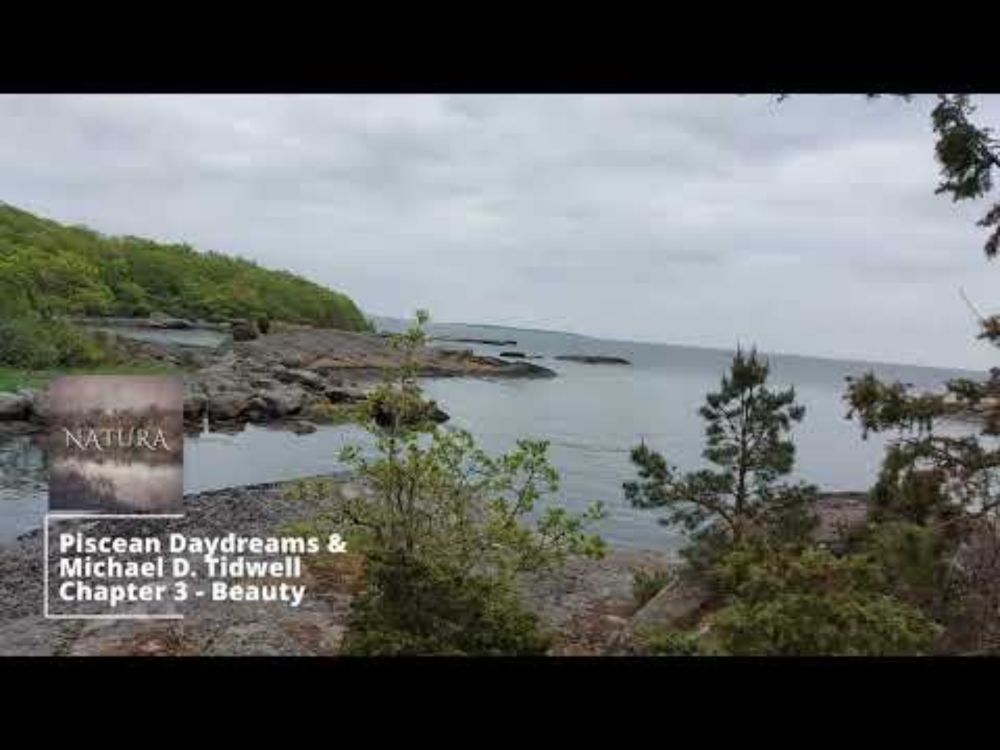 The Passed Radio Show - Episode 13 (1 hour of relaxing ambient music and hiking)