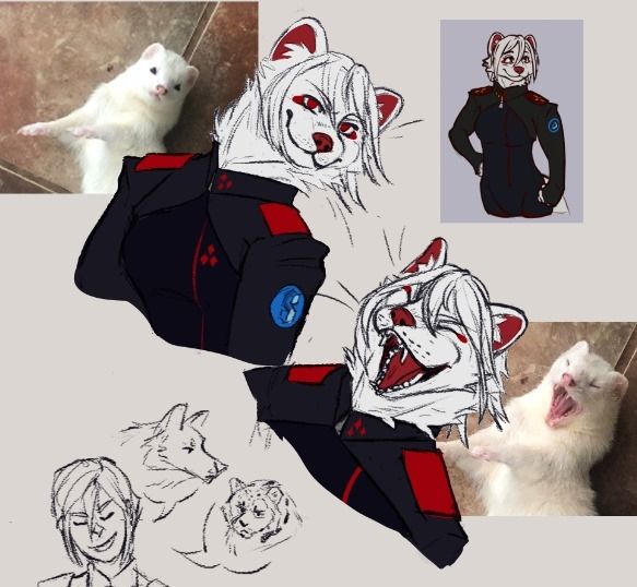 Ariane Signalis as a ferret. The top one is looking smug, the bottom one has her mouth fully open