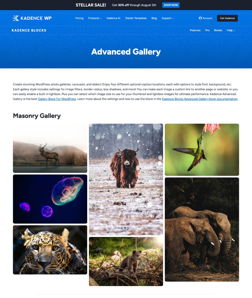 A screenshot of the Advanced Gallery plugin for WordPress by Kadence showing a masonry grid.