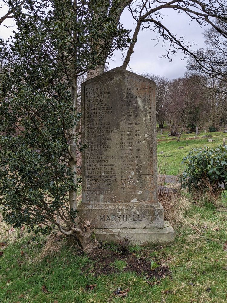 A grey headstone with a holly bush growing at the side. At its base is the word MARYHILL, faded out by lichen creeping up from the right hand base of the monument.