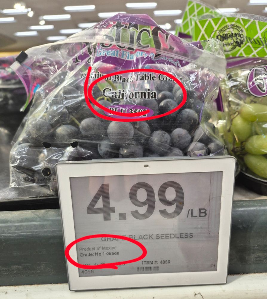 Grapes at a loblaw-owned grocery store. The label says from mexico. The bag begs to differ...