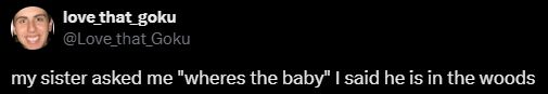 A tweet from "love_that_goku" reading "my sister asked me 'wheres the baby' I said he is in the woods"