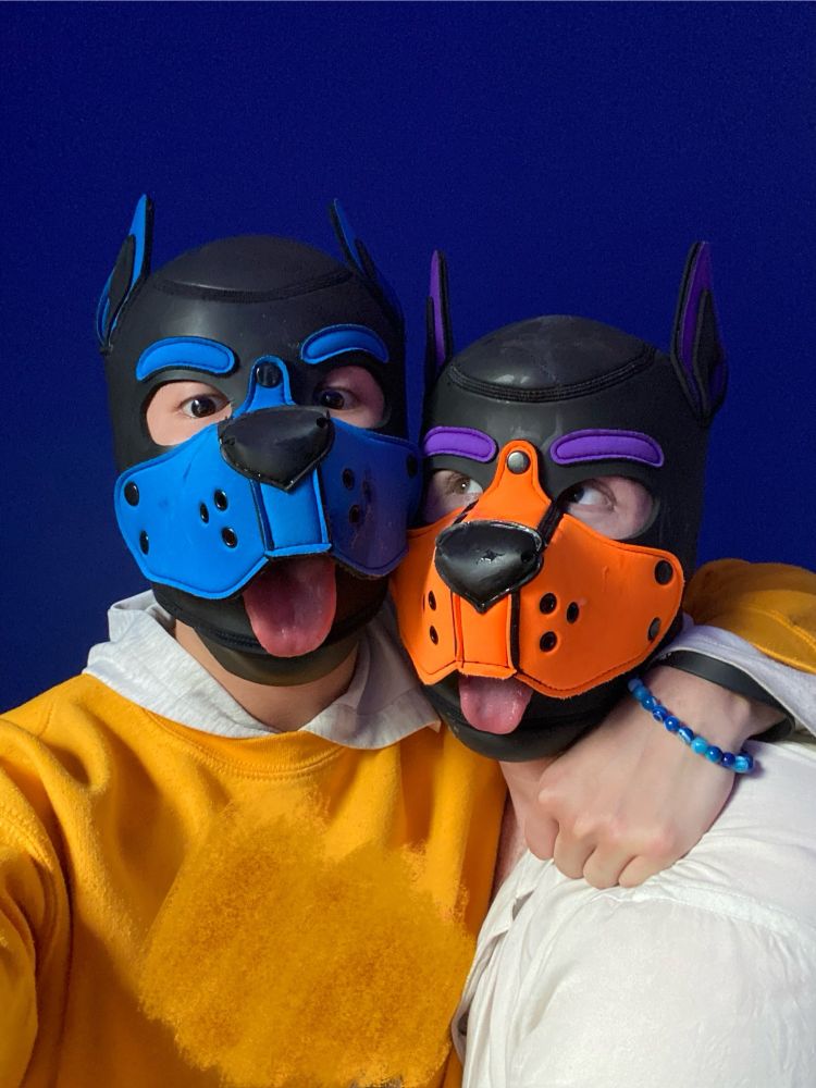 Two pups sticking out their tongues