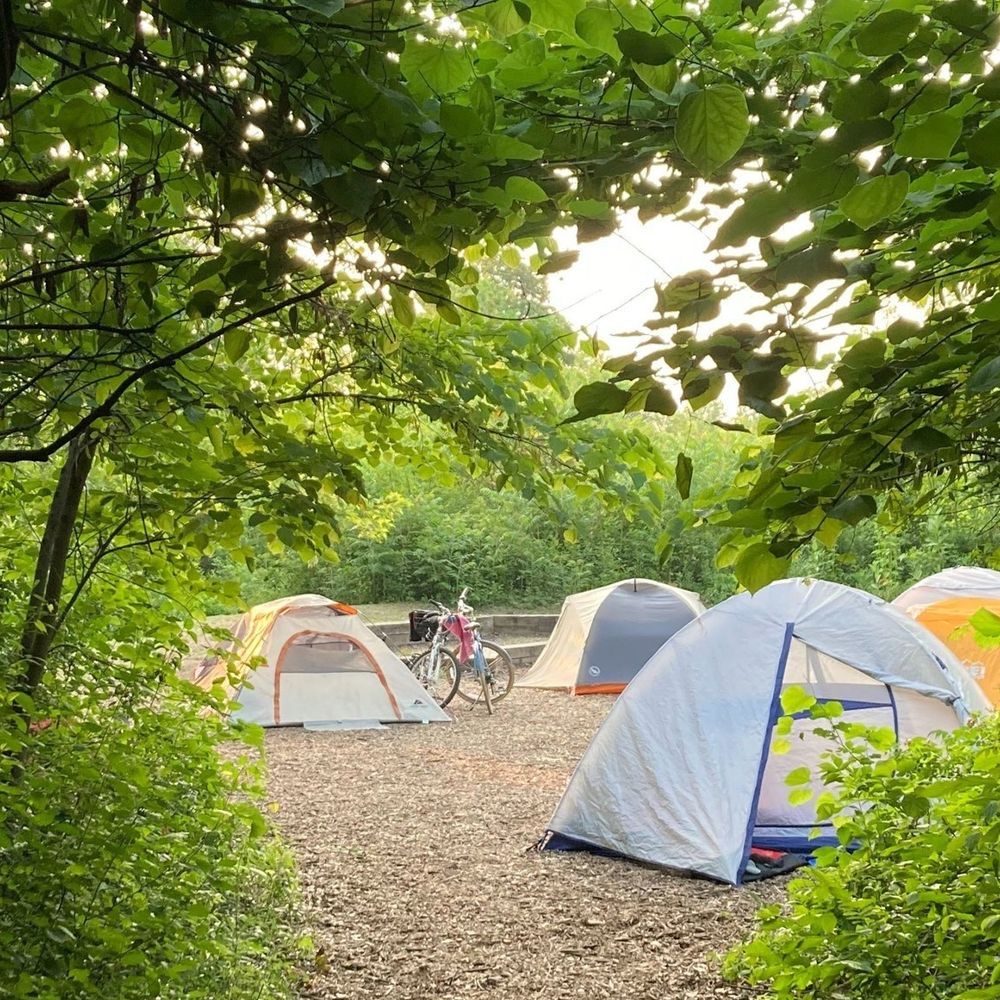 A leafy forested campground with bikes parked next to tents