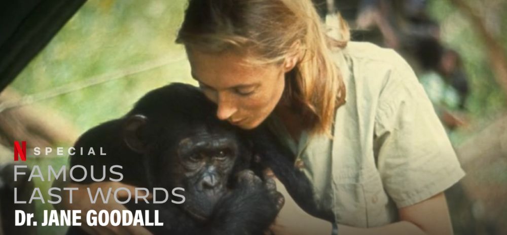 Banner for Famous Last Words, Dr. Jane Goodall, now showing on Netflix. 