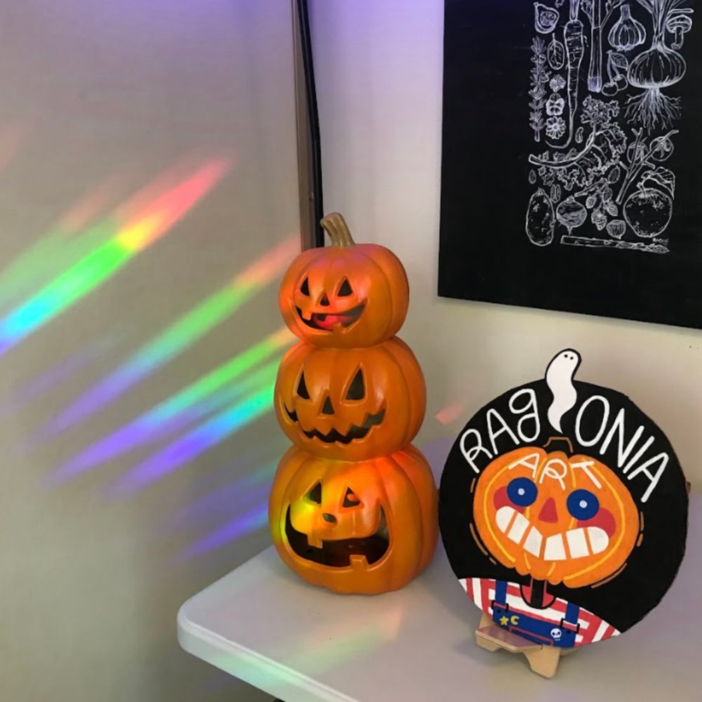 A corner of a room showing the rainbows that the sun catchers make.