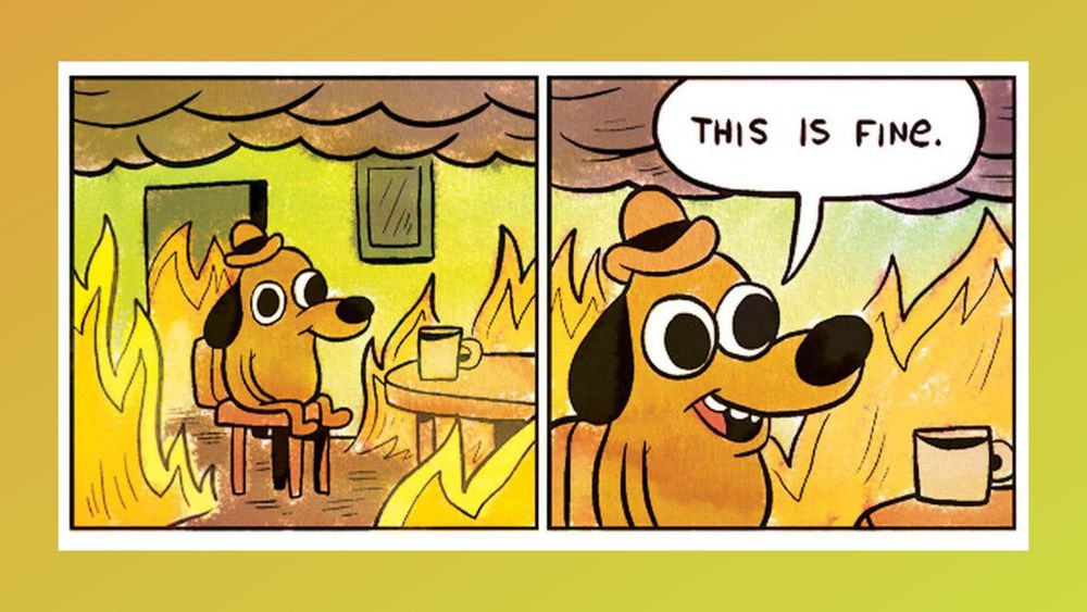 First two frames of the legendary 'This is fine' comic showing a dog sitting on a chair wearing a silly hat as the room around him becomes engulfed in flames. In the second frame the dog says, "This is fine."