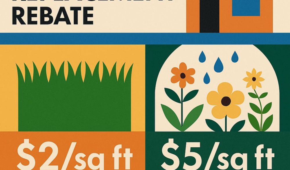 Sustainable Lawn Replacement Rebate: Easy on the Eyes, Water Wise