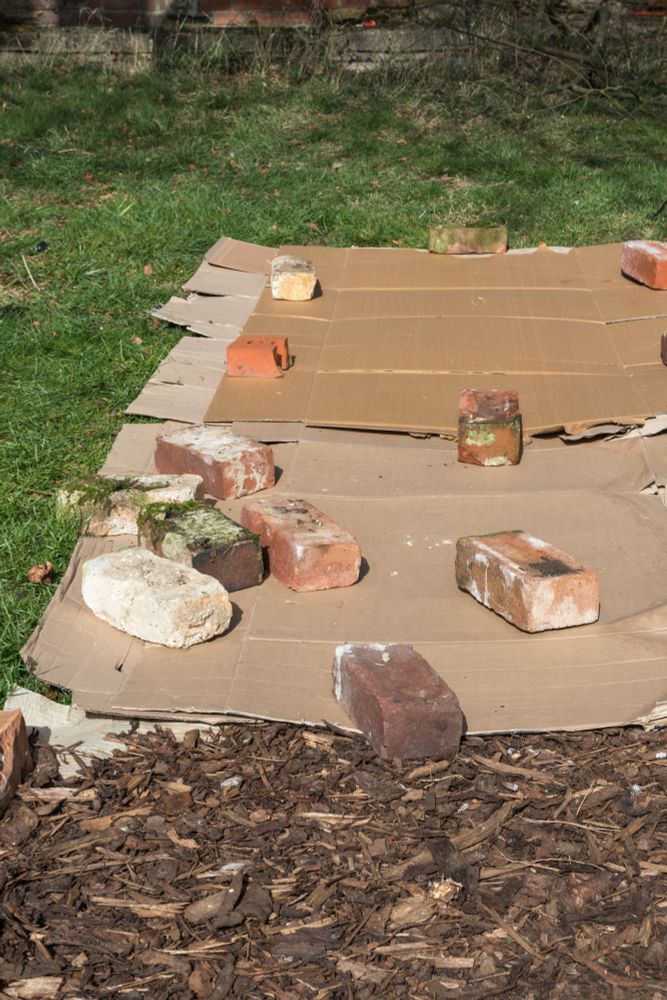 Cardboard layered over lawn to begin the sheet mulching process. Bricks are topping cardboard to hold it down.
