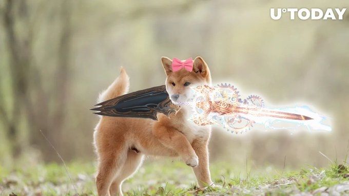 A photo of a cut Shiba inu dog but with a pink bow photoshopped onto her head and weilding Final Fantasy 14 weapons.... 
