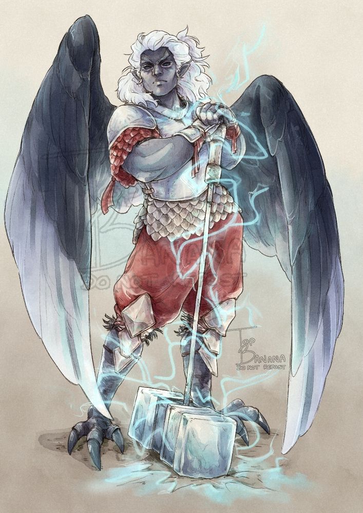 A full body character commission of a Pathfinder character.

A Strix based off a andean condor - a person with bird like legs and wings. 
He has thick white hair, half tied up and black sclera; wearing a short sleeved armour and loose red trousers. 
His hand rest on the handle of a huge warhammer, that's crackling with electricity