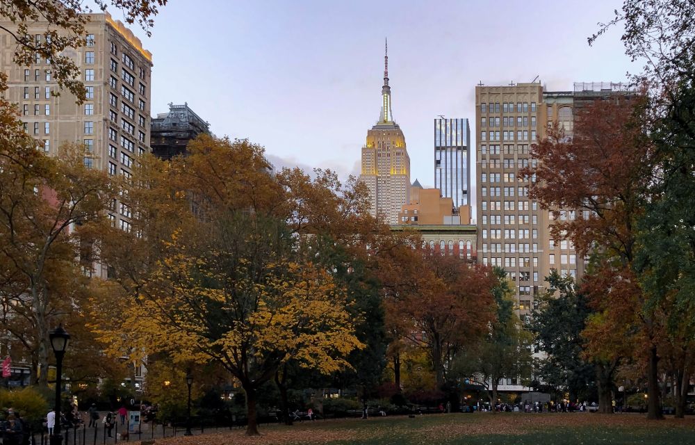 Autumn Colors in Midtown Manhattan at Madison Square Park in New York City 