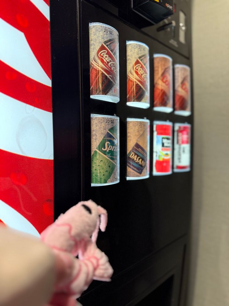 Pink shrimp plush ponders the vending machine drink selection. The drinks are in focus while the shrimp is out of focus. 