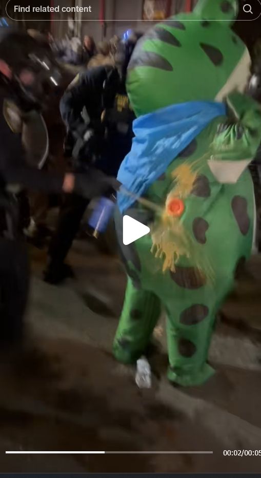 Screenshot of a tiktok video. A federal law enforcement officer of some kind, working with ICE, pepper sprays the vent of an inflatable frog suit, currently occupied by a human being.