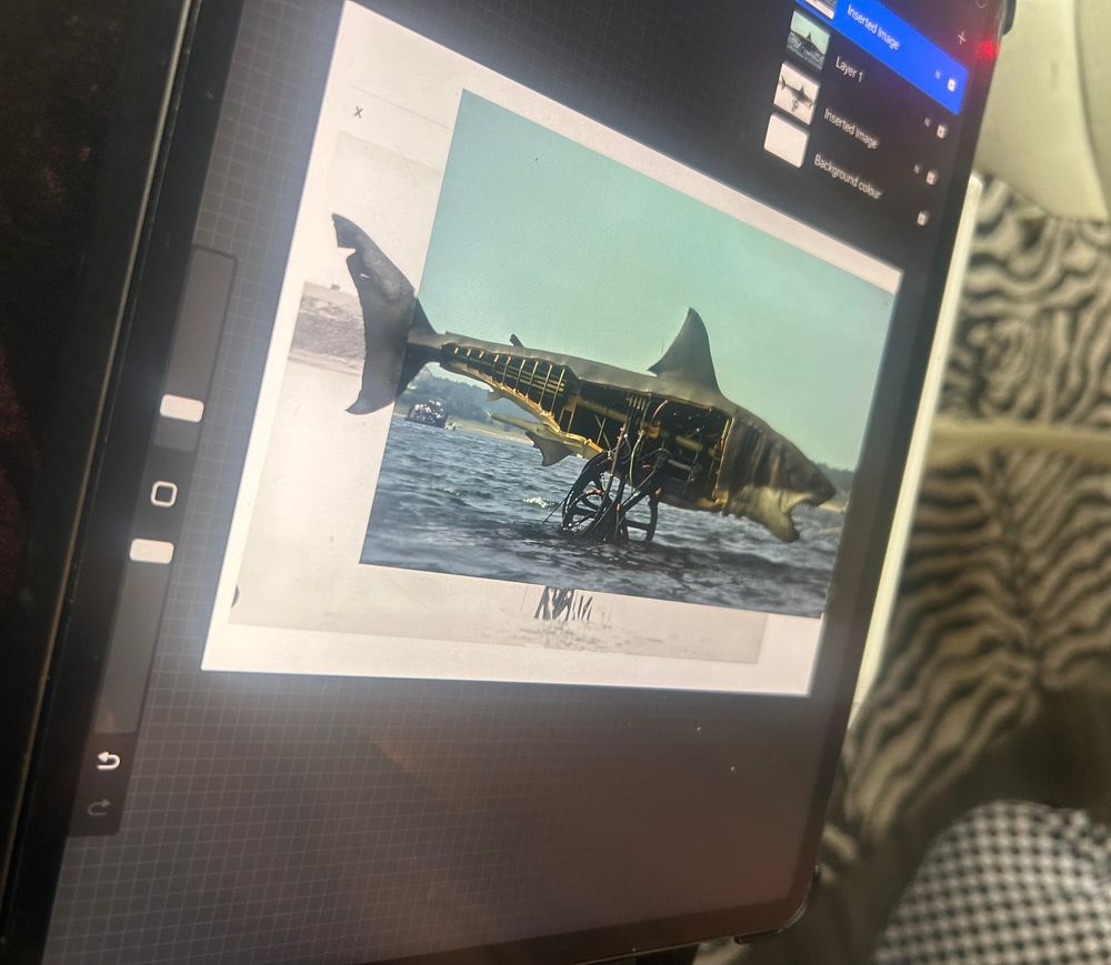 Laptop screen with tattoo template constructed from the only two photos of the mechanical shark from Jaws available online