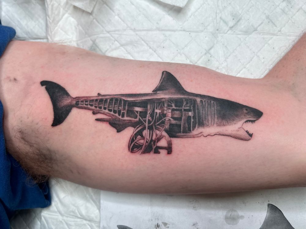 Freshly tattooed arm with detailed picture of the mechanical shark from Jaws on left inside bicep