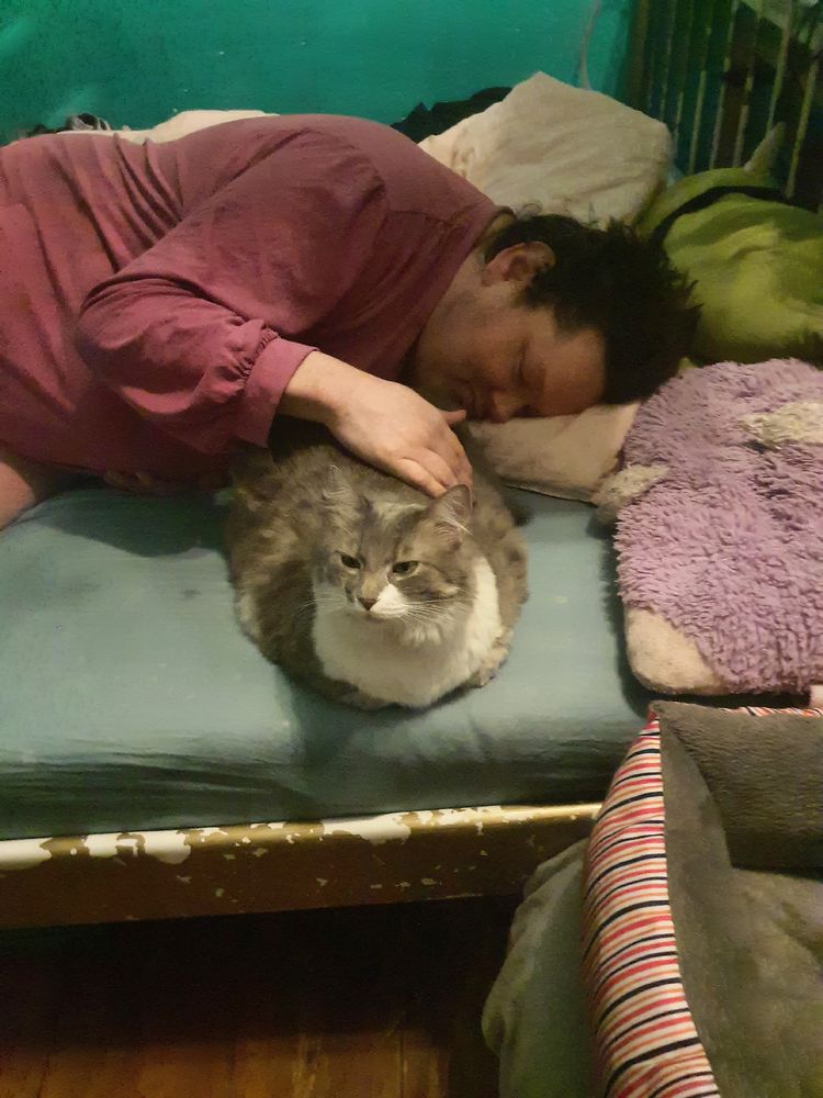 Picture of me lying in bed wearing a pink nightshirt stroking a brown white cat who is looking at the camera 