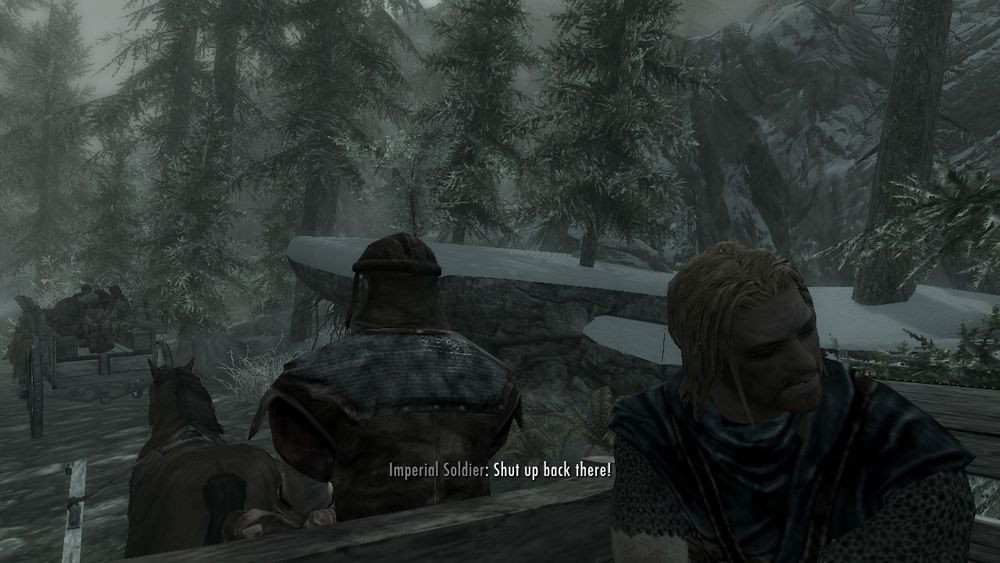 screencap from the opening of skyrim where the imperial soldier says "Shut up back there!"