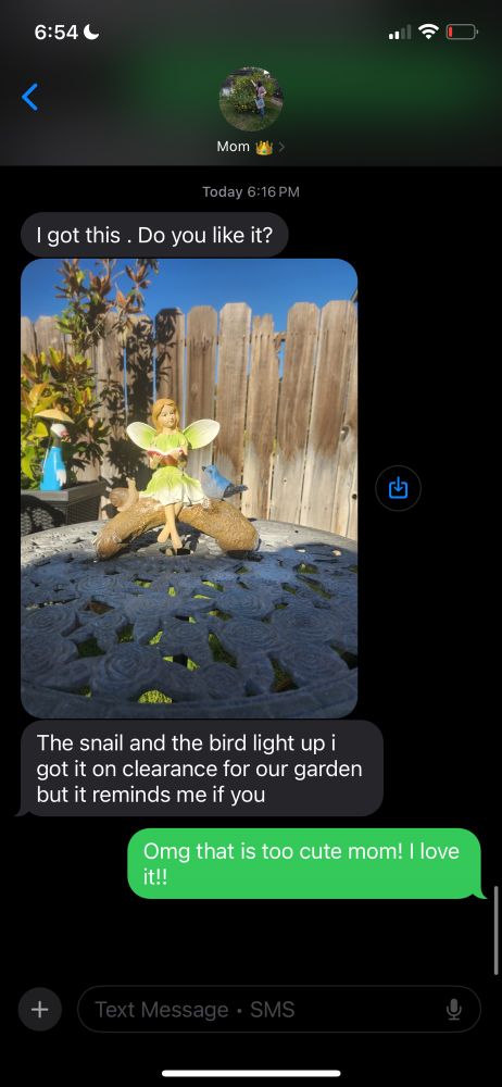 Screenshot of text message from mom: I got this, do you like it? The snail and the bird light up I got it on clearance for our garden but it reminds me of you. 
I say: omg that it too cute mom! I love it!!

Figurine is a blonde fairy sitting on a log with a snail and bird 