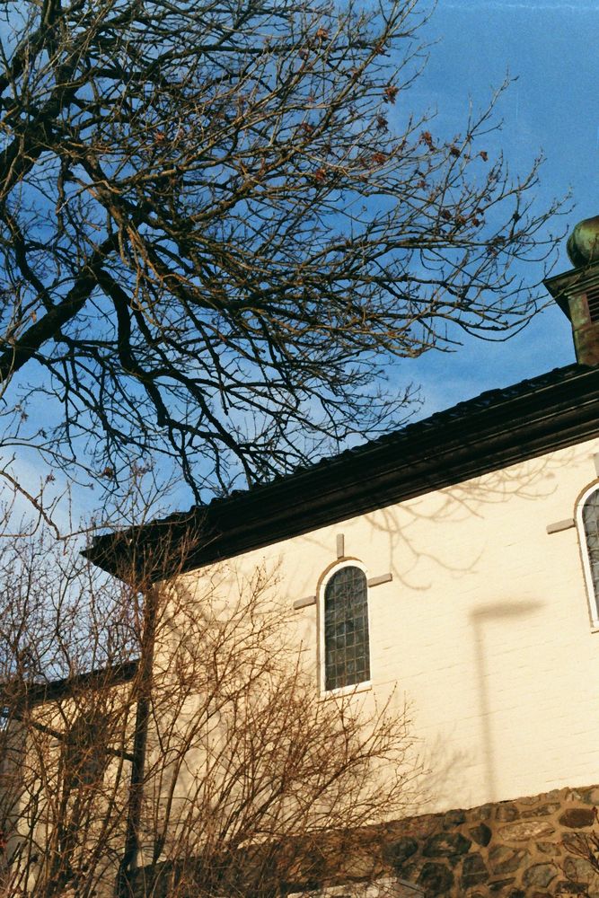 utsiden av en kirkevegg i sollys. den er lys beige og innrammet av busker og et tre uten blader. 