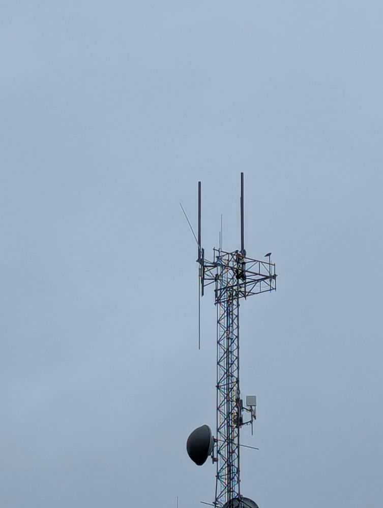 Picture of a radio tower with an antenna bent at a steep angle, additionally a hawk is perched on the right side of the tower