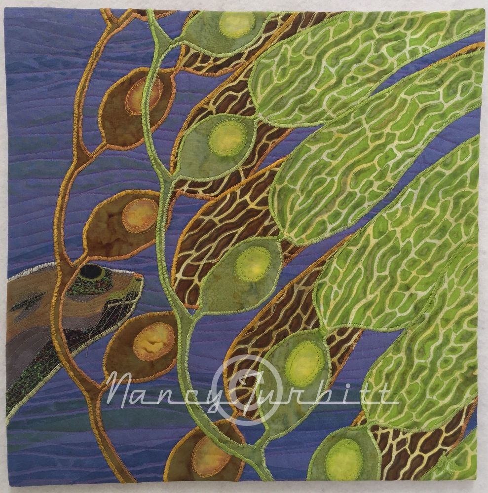 Green and brown kelp leaves and their pods float upward in a blue sea. The head of a sea otter comes into view from the left behind the kelp stem.