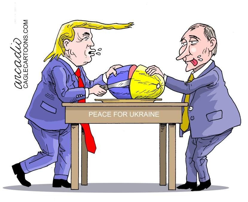 Comment image