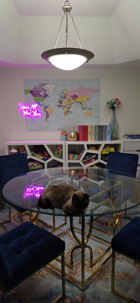 There's a colorful map of the world with a glowing pink neon sign that reads, "we're all mad here" on top of the map. 

Under the map are white geometric shelves filled with board and card games. In the foreground is a glass top dining table with gold legs and navy blue velvet chairs. A cat is loafing on the table. 