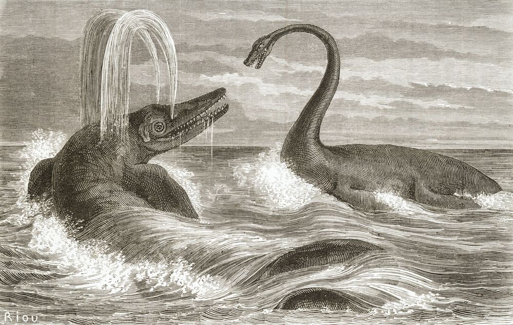 Victorian paleoart of an icthyosaur confronting a plesiosaurus. By Eduord Riou.