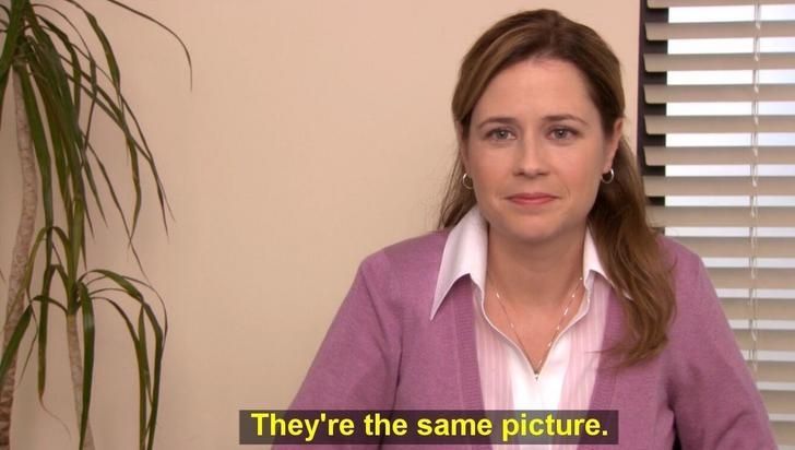 The often used meme picture of Pam from the US office, with the subtitle "they're the same picture".
