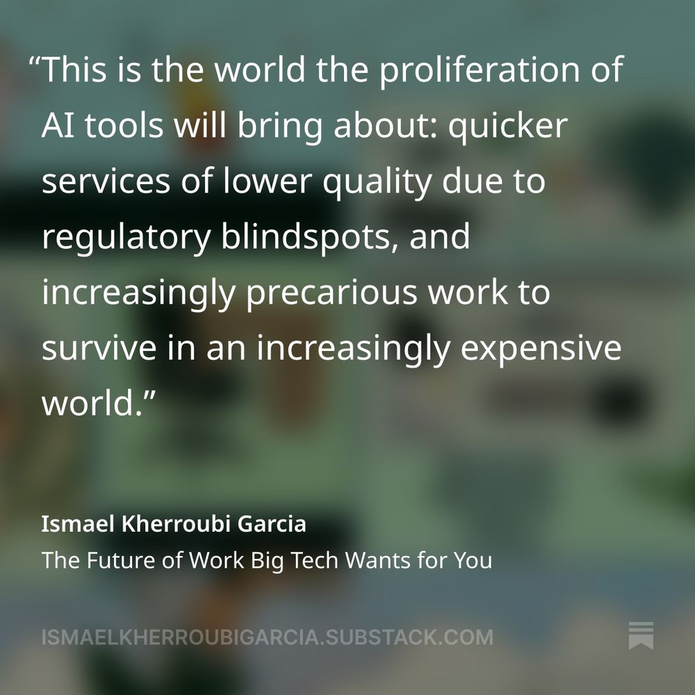 "This is the world the proliferation of Al tools will bring about: quicker services of lower quality due to regulatory blindspots, and increasingly precarious work to survive in an increasingly expensive
world."