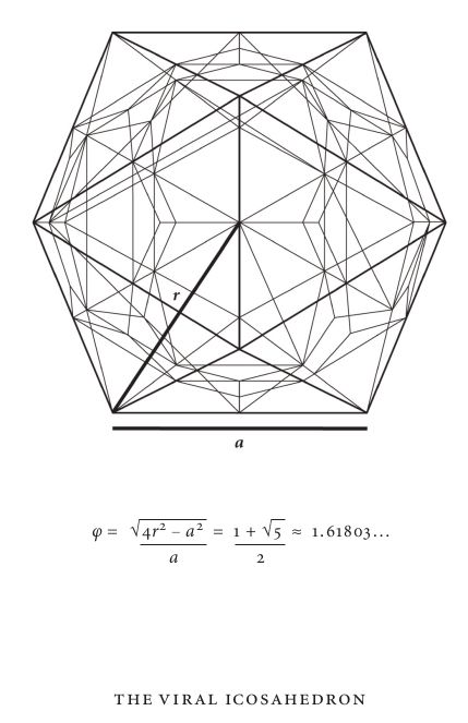 The viral icosadedron.  It is "uncannily geometric" in its structure when seen under an electronic microscope.