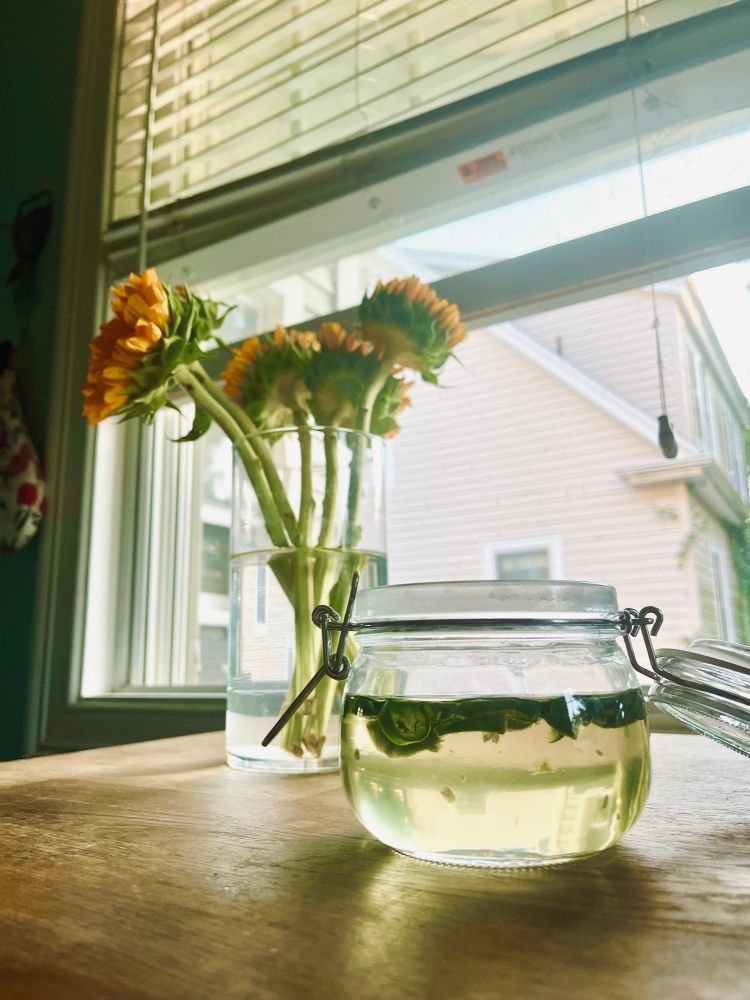A jar on a wood table with a vase of sunflowers and a window behind it. The jar is open and is full of a clear, light green liquid with slices jalapeños floating on the top 