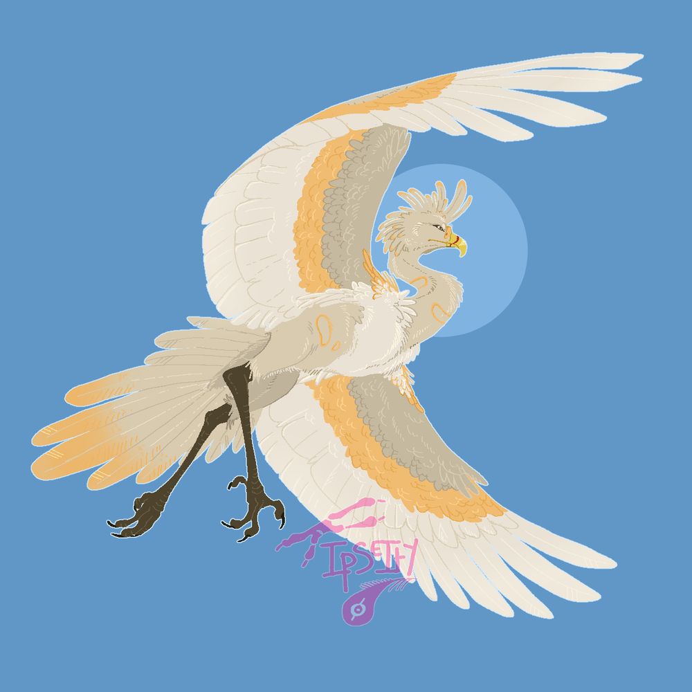 A soaring bird with yellow tone feathers. It ressembles a secretary bird somewhat, but isn't any real species. 