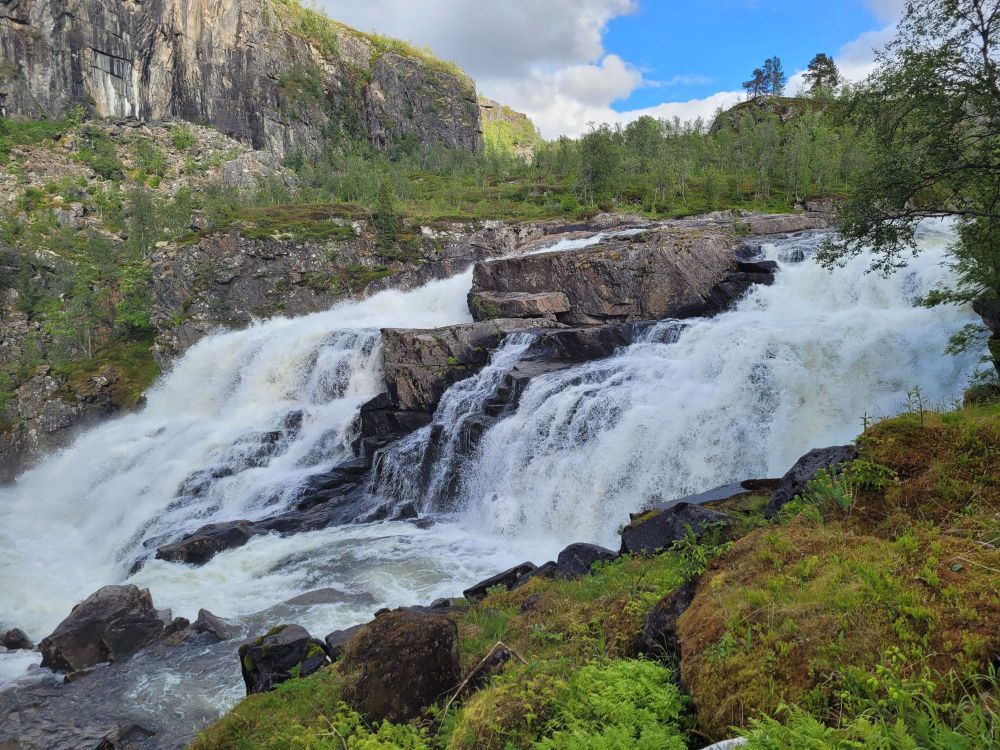 the rapids right above vøringsfossen waterfall, shortly downstream of the bridge in the previous picture. there's a moderate amount of water, mostly white. in the background is a cliff wall and  a bit of forest, mostly birch trees. in the foreground mossy rocks with some ferns and other plants