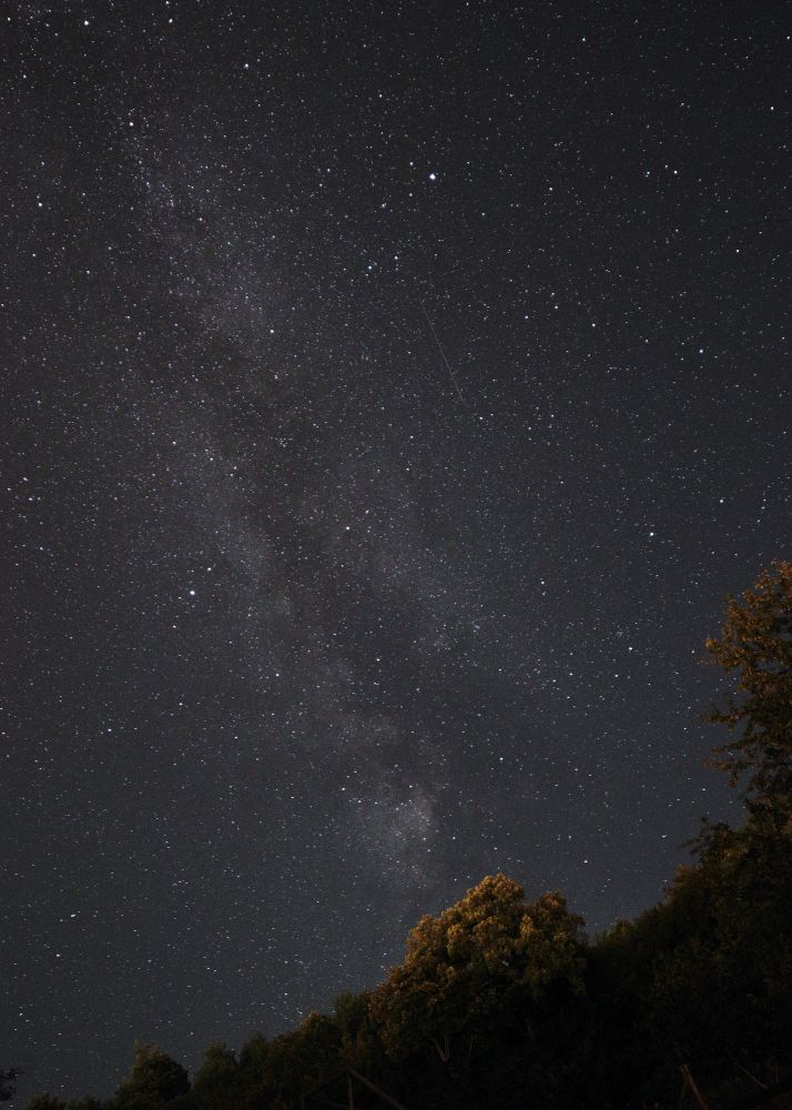 A night sky full of stars. In the foreground, trees on the hillside are visible below.