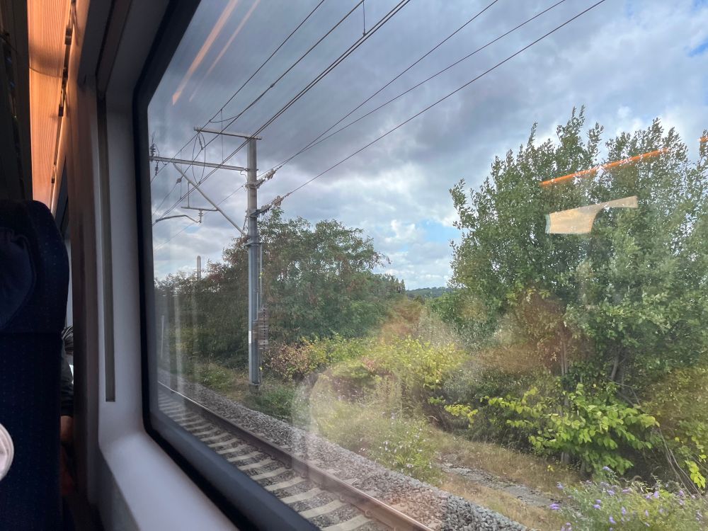 Looking outside a train window, seeing train tracks, trees and bushes