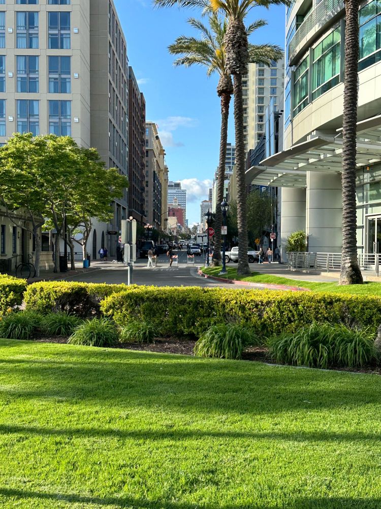 Downtown San Diego near Padres Stadium, featuring a green lawn and trimmed hedges in the foreground, a street lined with tall palm trees and modern buildings, and pedestrians crossing at an intersection under a blue sky with scattered clouds.